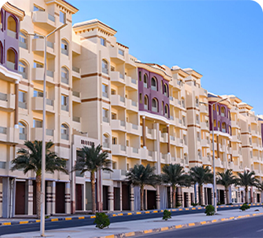 Local Moving in Dubai Action 2